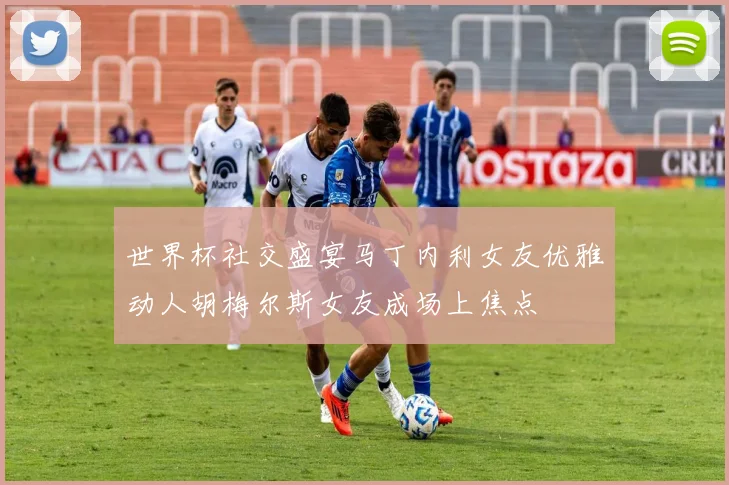 世界杯社交盛宴马丁内利女友优雅动人胡梅尔斯女友成场上焦点